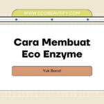 eco enzyme adalah