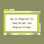 apa itu mangrove