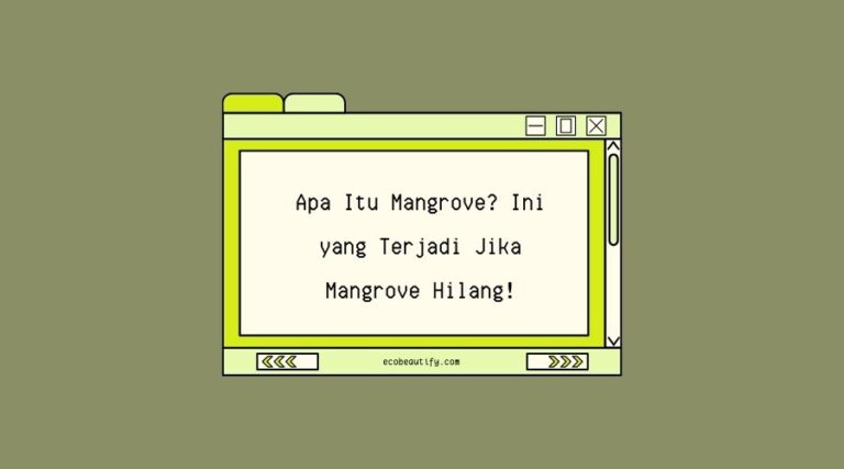 apa itu mangrove