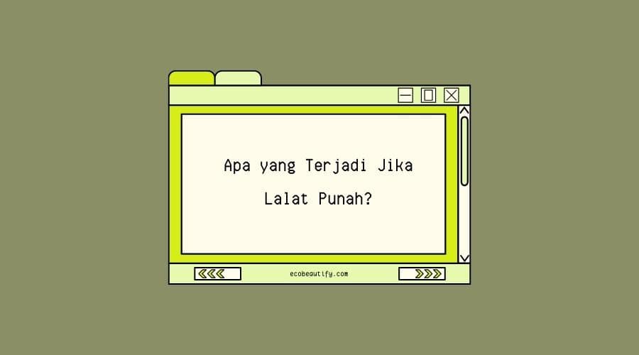 apa yang terjadi jika lalat punah