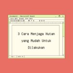 cara menjaga hutan