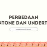 skintone dan undertone