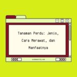tanaman perdu