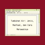 tumbuhan air