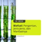 biofuel adalah