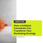 HubSpot Consultant, nexalabs