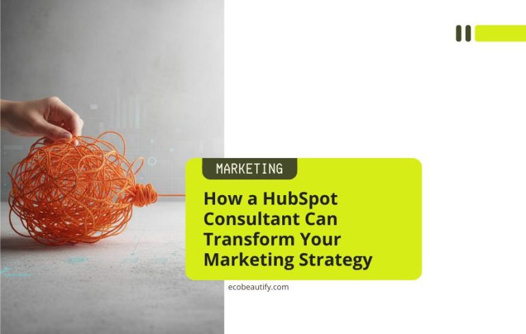 HubSpot Consultant, nexalabs