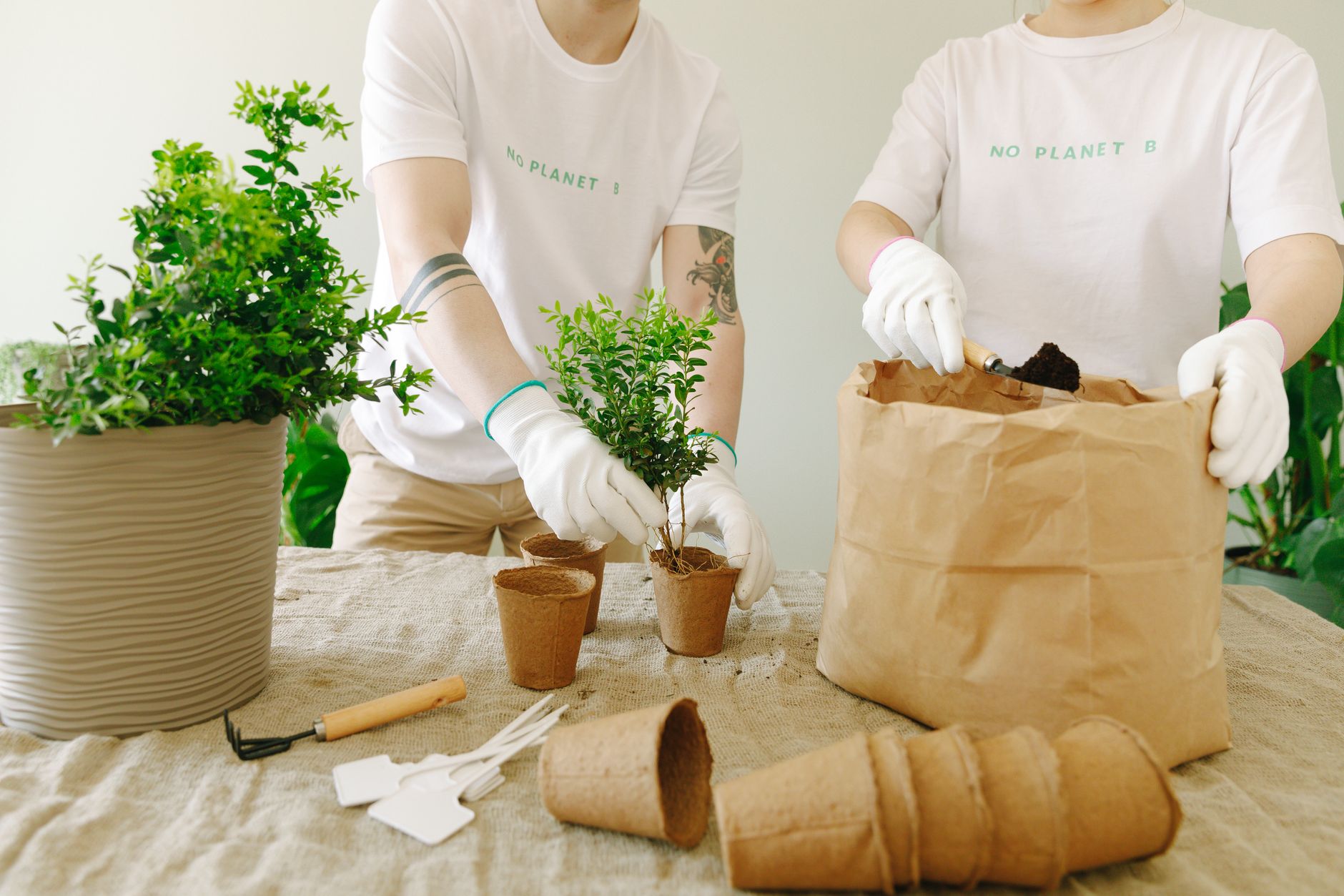Key considerations for launching an eco‑friendly clothing brand, from sustainable fabrics to ethical production.