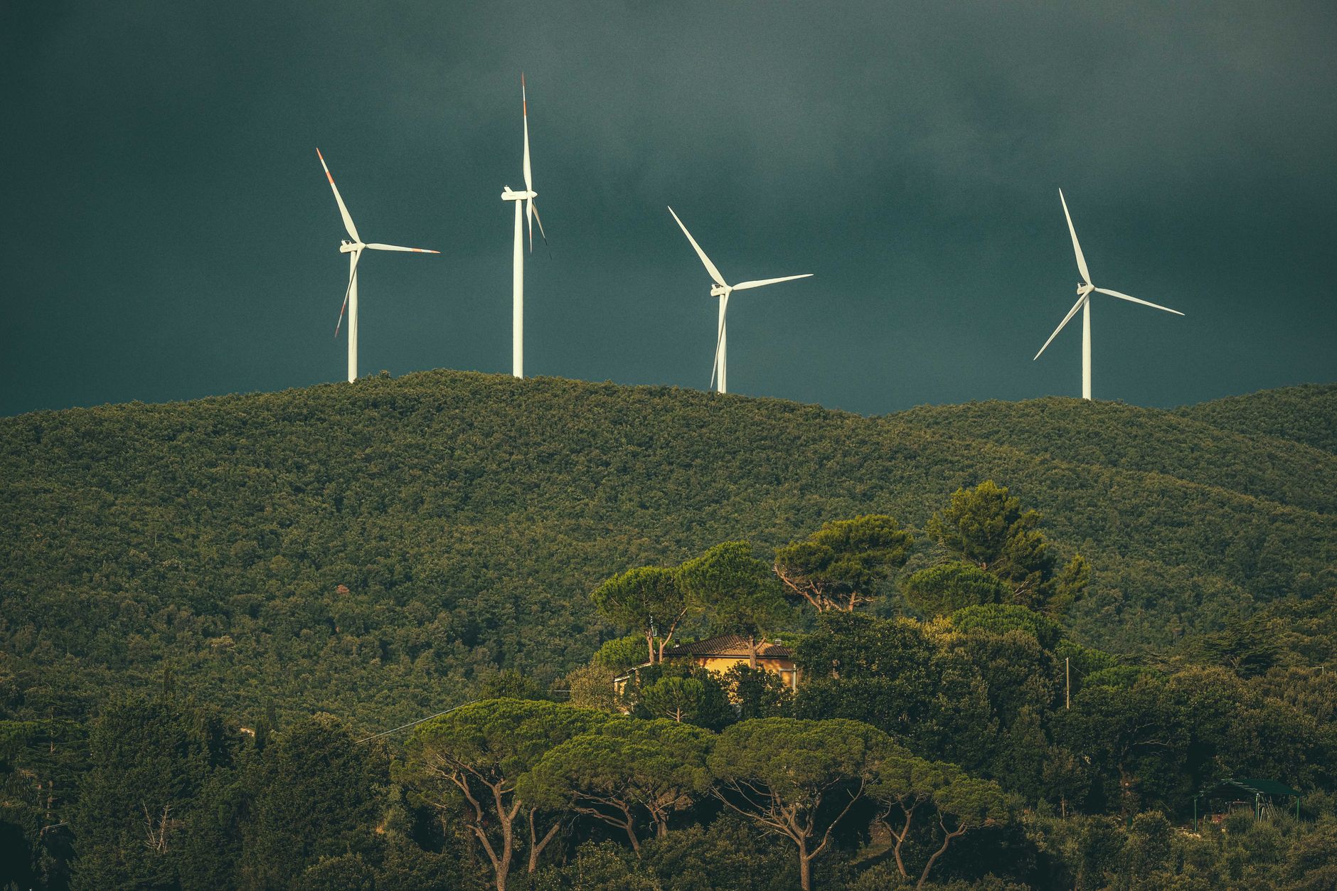 Tips for reducing your carbon footprint when flying, showing eco‑friendly travel choices and offset strategies.