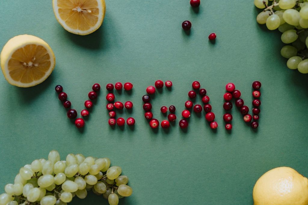 Illustration comparing vegan versus cruelty‑free makeup, highlighting ingredient sources and animal testing policies.